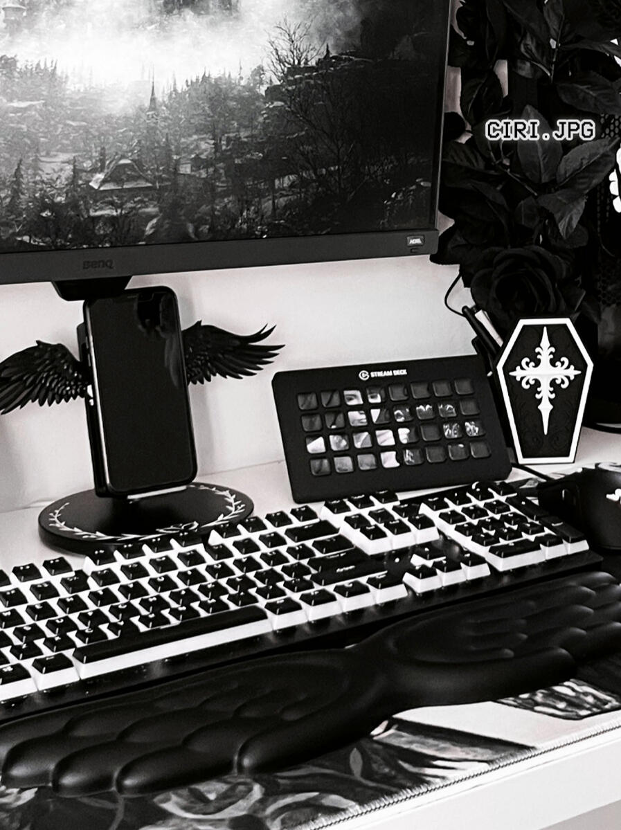 ciri.jpg monochrome pc setup