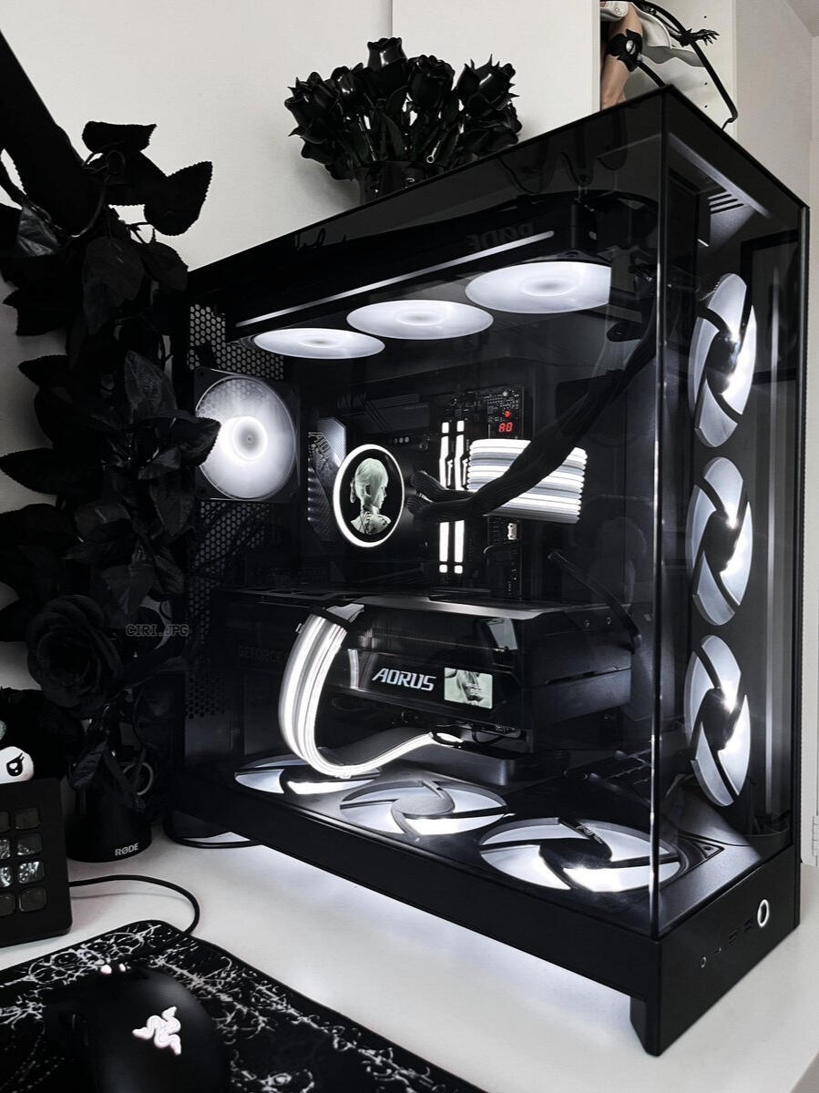 ciri.jpg monochrome pc setup